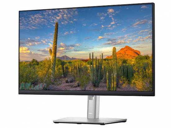 DELL MONITOR P2422H 